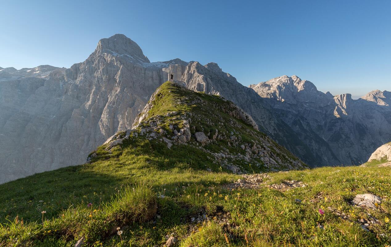 горы, Альпы, зеленые, луга, природа