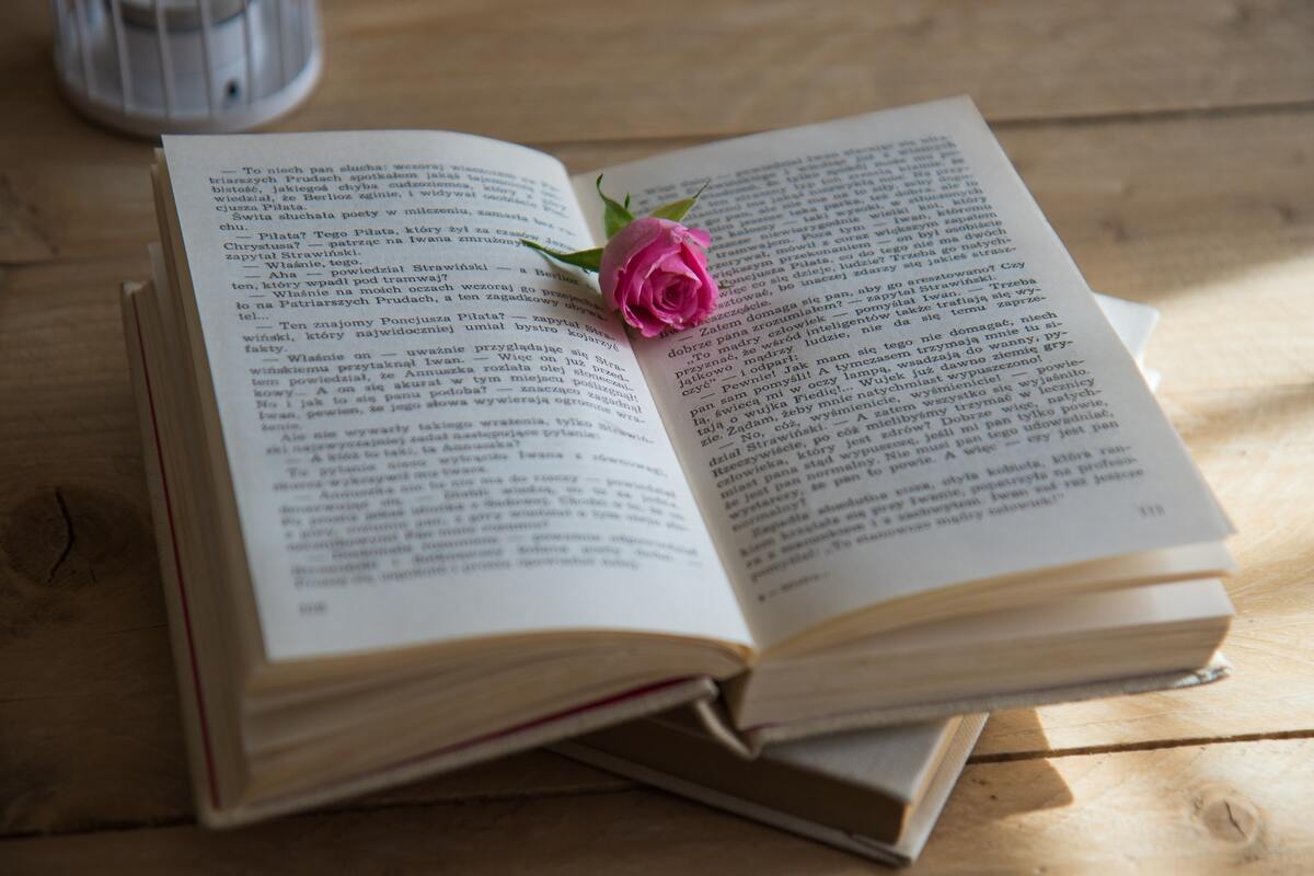 розы, розовые розы, книга