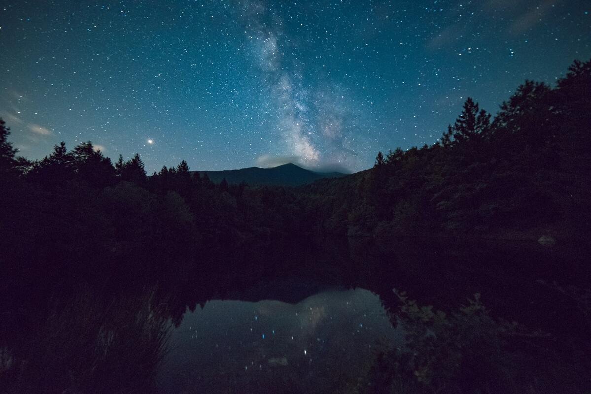 HD, озеро, лес, природа, берег, звезды, звездное небо