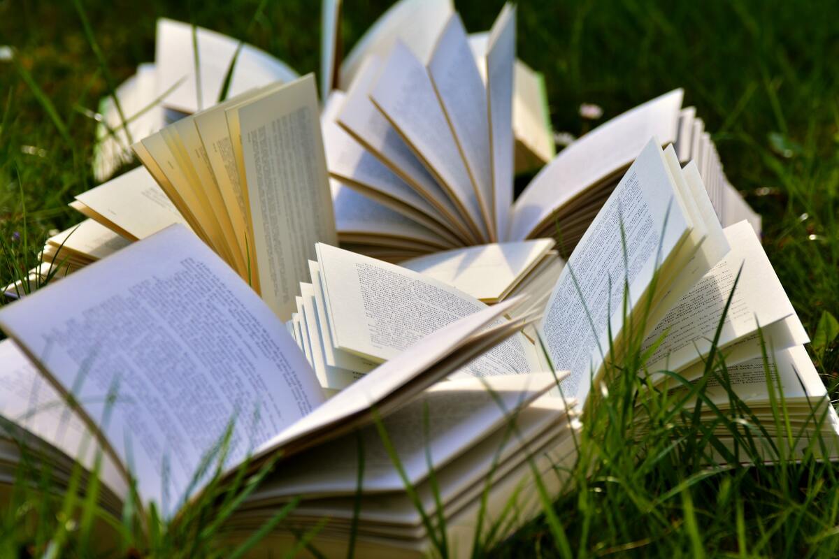 книги, страницы