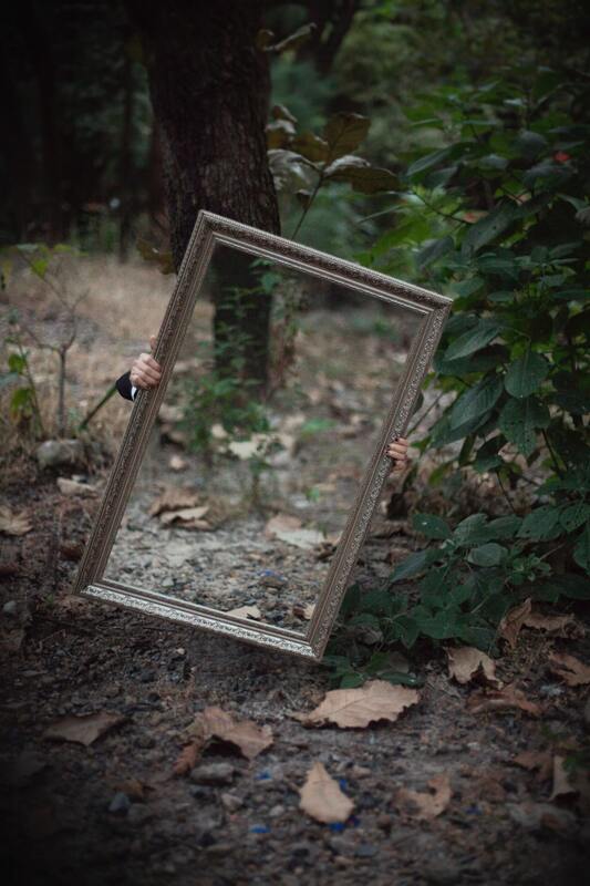 зеркало, отражение, лес