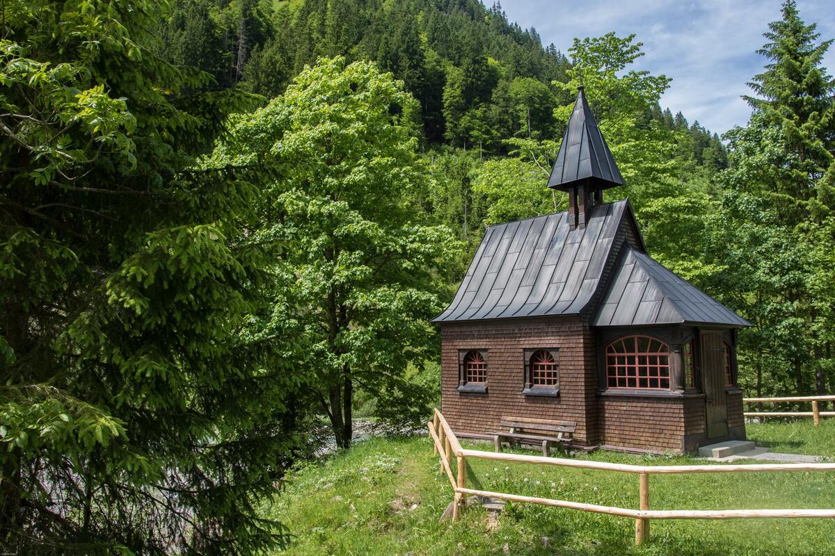 лес, деревья, ветви, природа, домик, домик в лесу