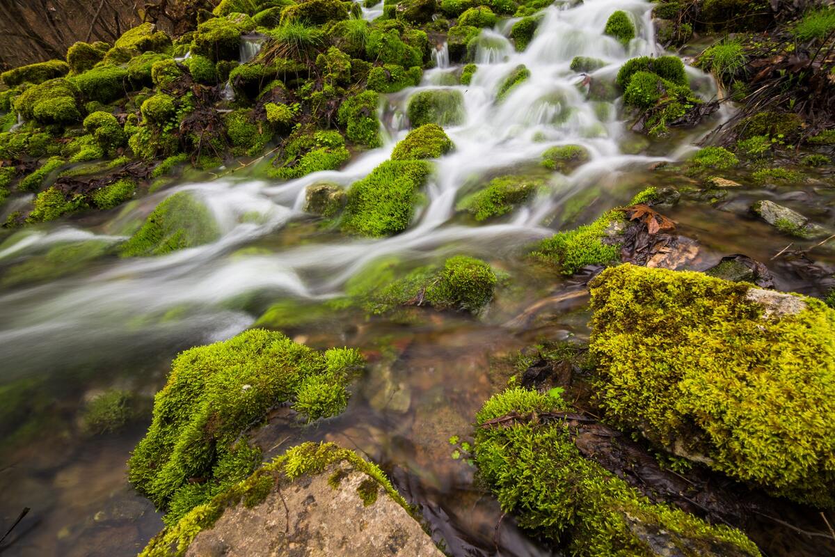  природа, мох, камни, вода, река, горная река