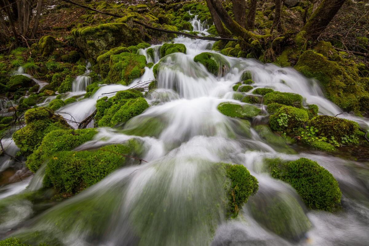  природа, мох, камни, вода, река, горная река