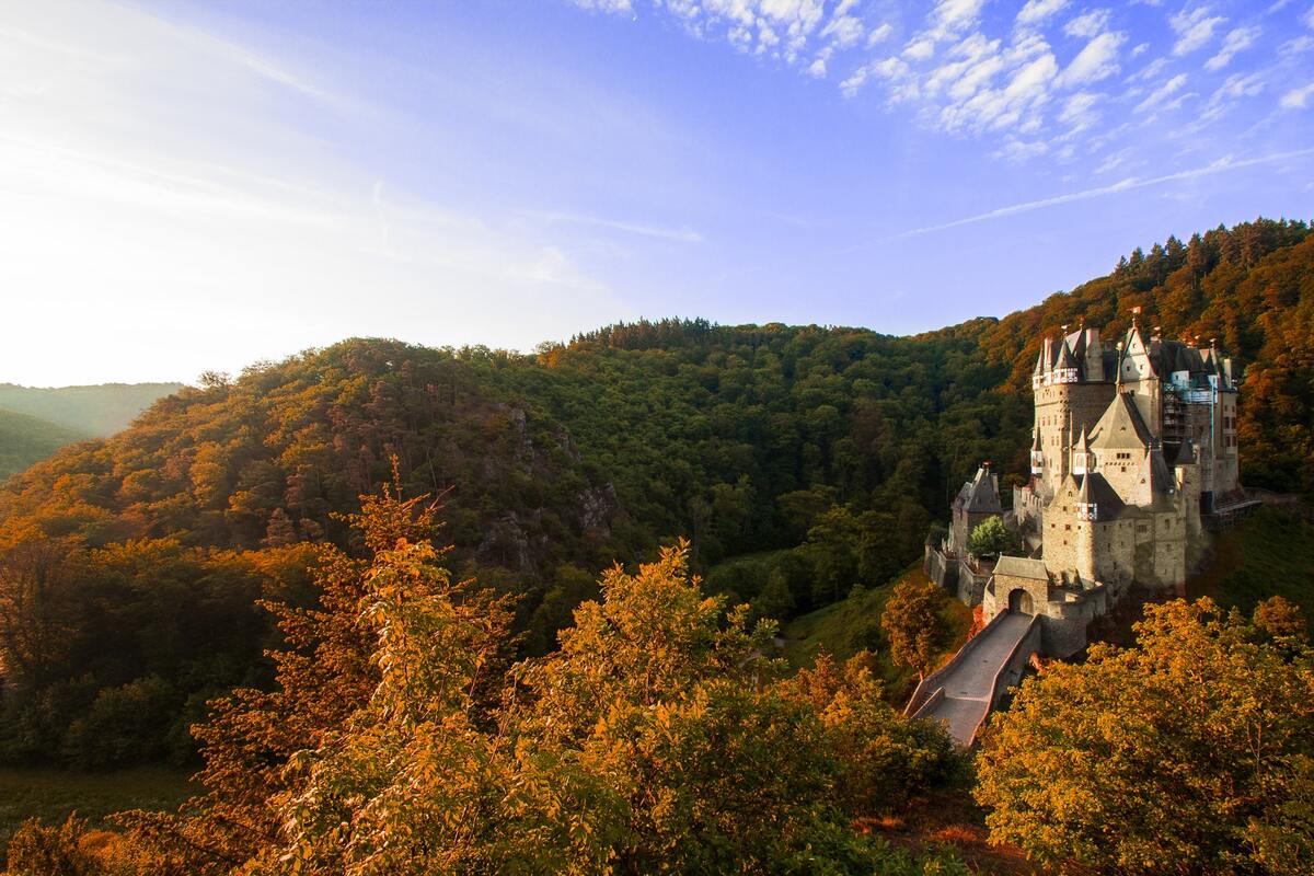 замок, строение, архитектура, каменная кладка, башни, лес, осенний лес