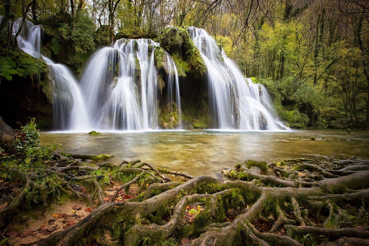 водопад, природа, вода, лес, корни