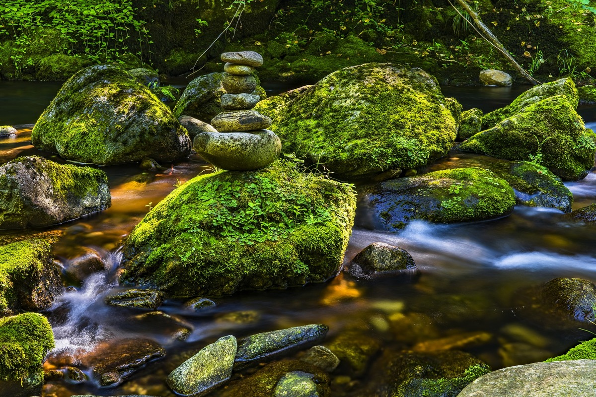 галька, камни, баланс камней, вода, мох