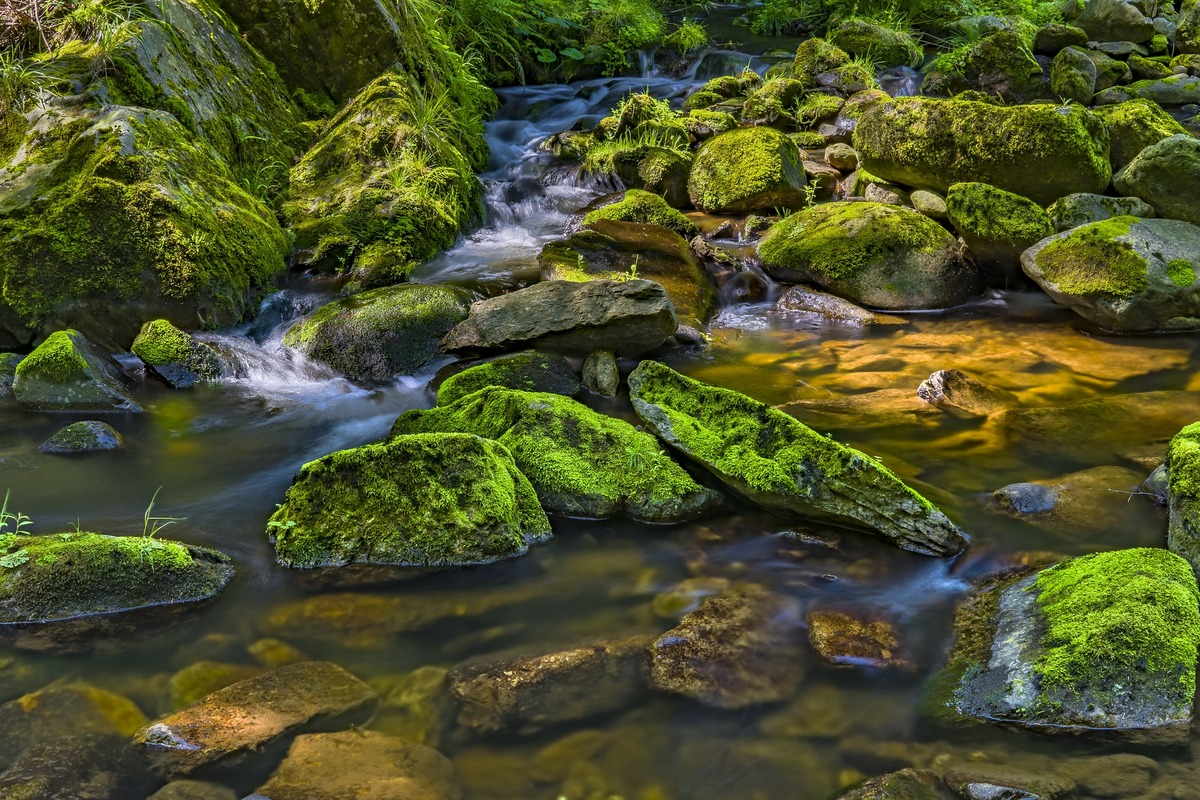 река, природа, камни, мох, вода, 3д, 3d, горная река
