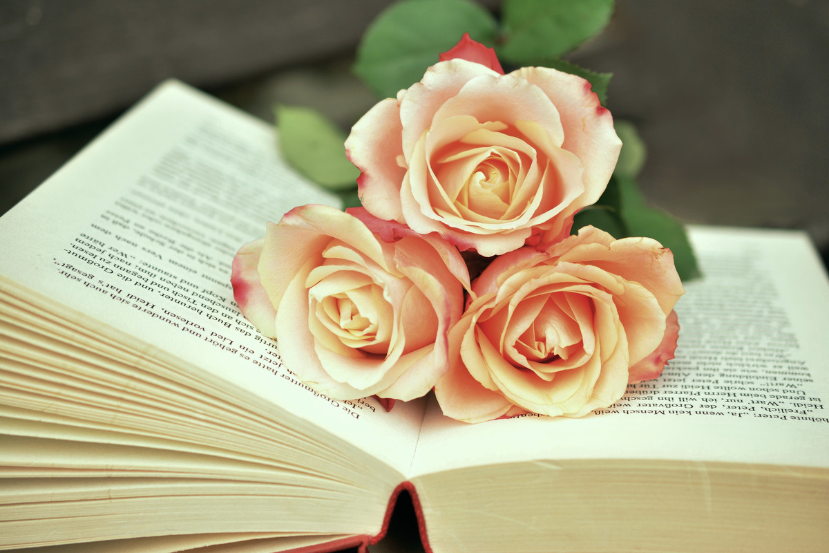 розы, цветы, 3д, 3d, книга, стереоскопические