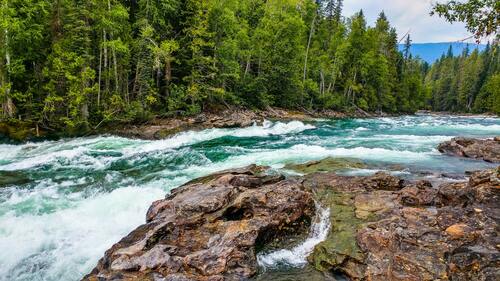 деревья, лес, природа, пейзаж, река, зеленые, горная река