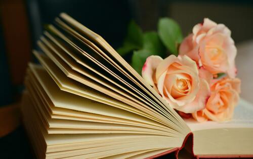 цветы, розы, персиковые розы, 3д, 3d, книга