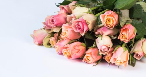 цветы, розы, розовые розы, букет