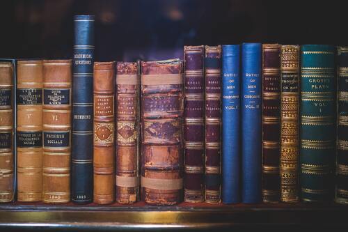 библиотека, книги, книжные полки