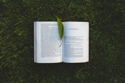 книга, страницы