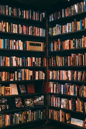 библиотека, книги, книжные полки