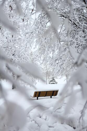 лес, парк, ветви, зимний лес, зима, лавочка, скамейка