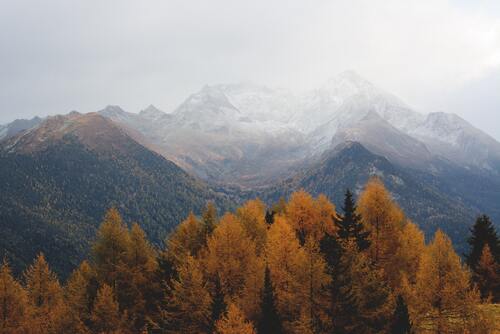 осень, листва, осенний лес, горы, 3д, 3d