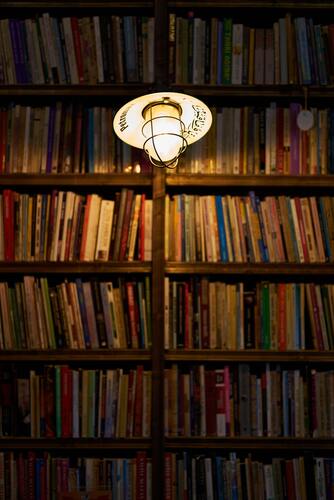 библиотека, книги, книжные полки, 3д, 3d