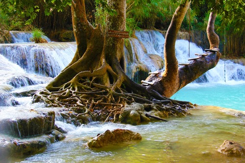 водопад, природа, вода, лес, скалы, камни, деревья, корни