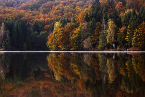 озеро, осень, лес