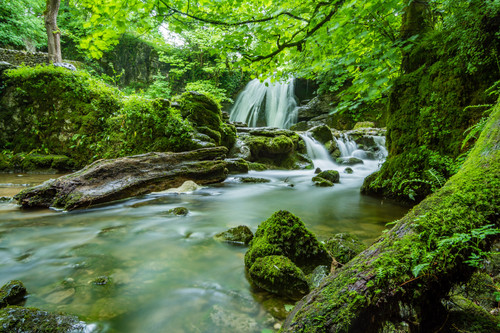 водопад, лес, трава, вода, зеленые, мох